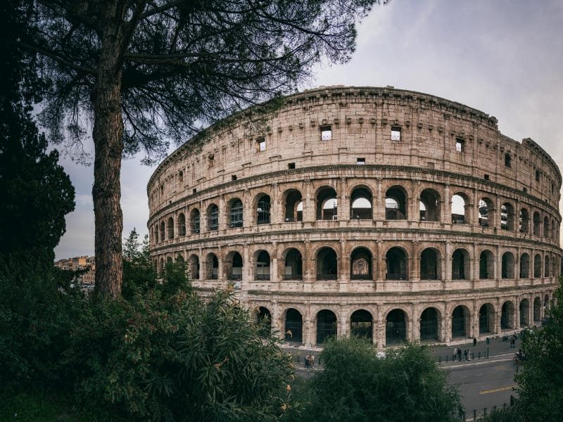 Colosseum in Rome captured from a short distance with a large tree in the frame.